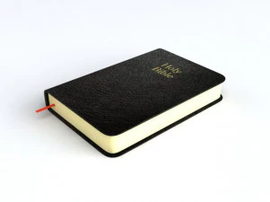 holy bible 3D Model
