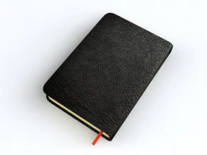 holy bible 3D Model