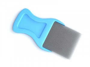 lice comb 3D Model