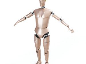 male crash test dummy 3D Model