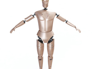 male crash test dummy 3D Model
