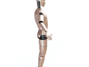 male crash test dummy 3D Model