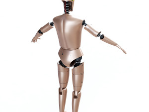 male crash test dummy 3D Model