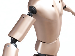 male crash test dummy 3D Model