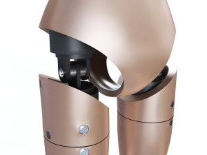 male crash test dummy 3D Model