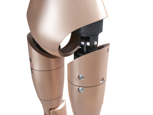 male crash test dummy 3D Model