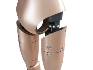 male crash test dummy 3D Model