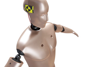 male crash test dummy 3D Model