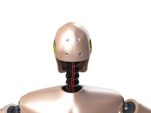 male crash test dummy 3D Model