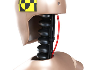 male crash test dummy 3D Model