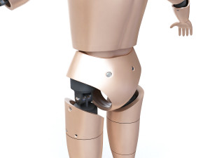 male crash test dummy 3D Model