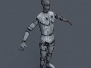 male crash test dummy 3D Model