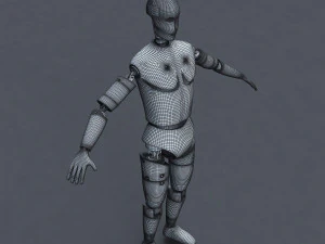 male crash test dummy 3D Model