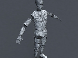 male crash test dummy 3D Model