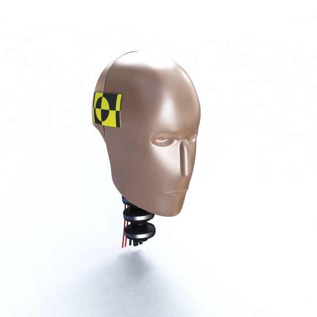 male crash test dummy head Modello 3D .c4d .max .obj .3ds .fbx .stl .blend 