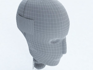 male crash test dummy head Modello 3D