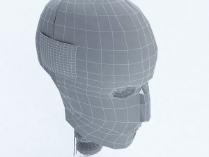 male crash test dummy head Modello 3D