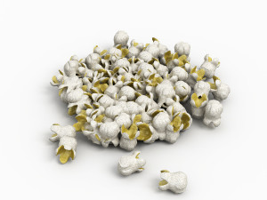 popcorn 3D Model