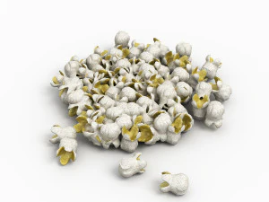 Palomitas Modelo 3D