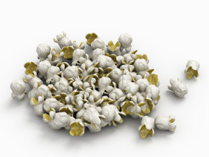 popcorn 3D Модель
