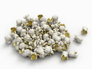 popcorn 3D Model