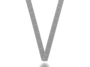 sports medal trophy mockup collection 3D-Modell