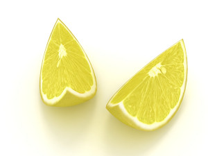 Lemon slice 3D Model