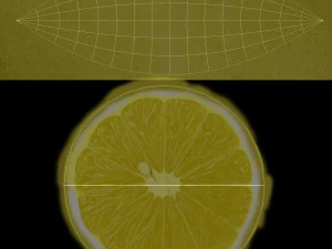 Lemon slice 3D Model
