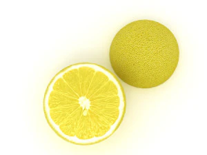 Lemon 3D Model