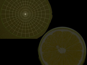 Lemon 3D Модель