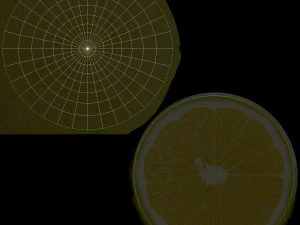 Lemon 3D Model