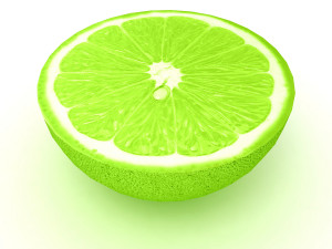 Lemon 2 3D Model