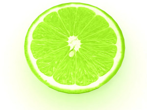 Lemon 2 3D Model