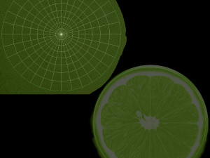 Lemon 2 3D Model