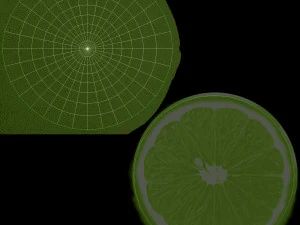 Lemon 2 3D Model