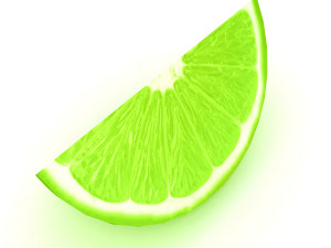 Lemon slice 2 3D Model