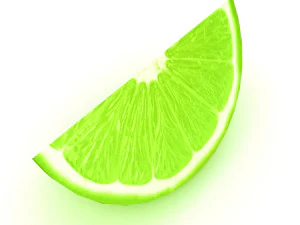 Lemon slice 2 3D Model