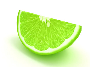 Lemon slice 2 3D Model