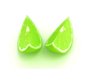 Lemon slice 2 3D Model
