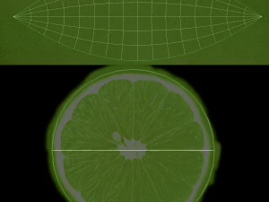Lemon slice 2 3D Model