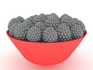 blackberry bowl 3D Model