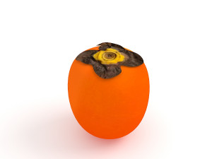 Persimmon 3Dモデル