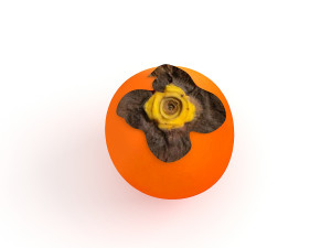 Persimmon Model 3D