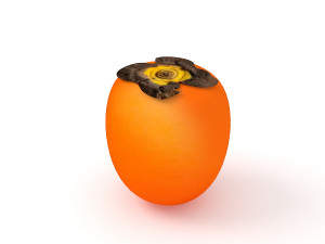 Persimmon Model 3D