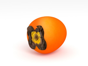 Persimmon Model 3D