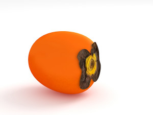 Persimmon Model 3D