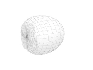 Persimmon 3D Model