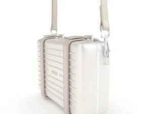 Dior and rimowa clutch shoulder gray 3D Model