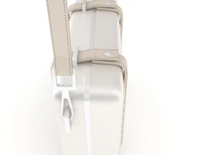 Dior and rimowa clutch shoulder gray 3D Model