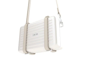 Dior and rimowa clutch shoulder gray 3D Model